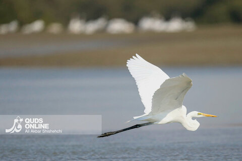گزارش تصویری | چابهار سرزمین ناشناخته
