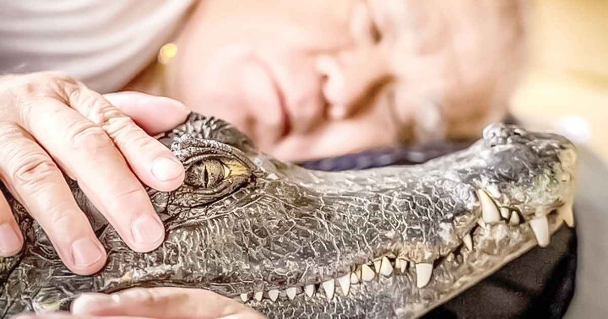 «حیوانات وحشی» از جنگل تا خانه!