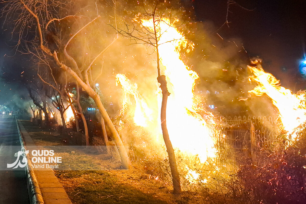 خسارت به  ۸۰۰ اصل درخت در آتش اغتشاشات مشهد