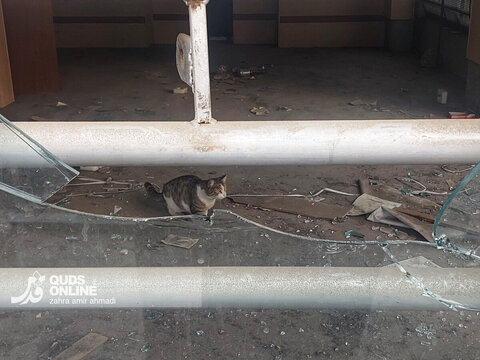 تصاویری از تخریب اموال عمومی در پی نا آرامی‌ها در تهران