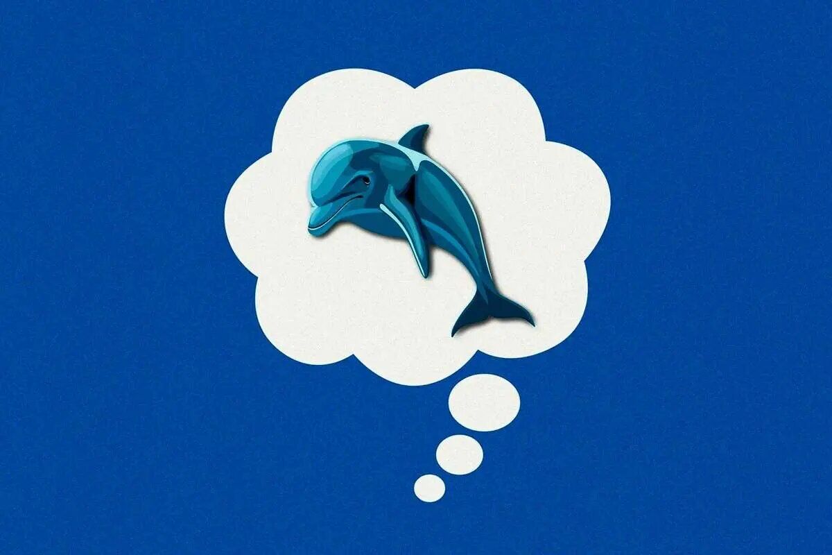 تکنیک دلفین آبی، راهی برای خلاصی از استرس