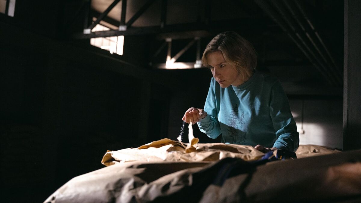 «نه» به خوشبختی اجباری/ درباره «پلوریبوس» که می‌توان گفت بهترین سریال ۲۰۲۵ بود