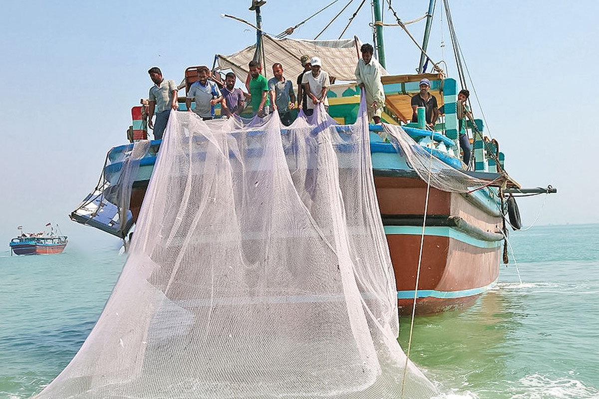 تن رنجور صنعت تن ماهی از مشکلات تولید در منطقه چابهار