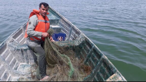 درخواست سازمان محیط‌زیست از شیلات برای کاهش تلفات پرندگان شیرجه‌رو در تورهای صیادی