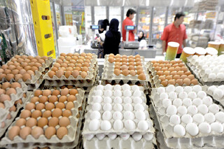 اول مرغ و تخم‌مرغ است یا سرمایه در گردش؟!