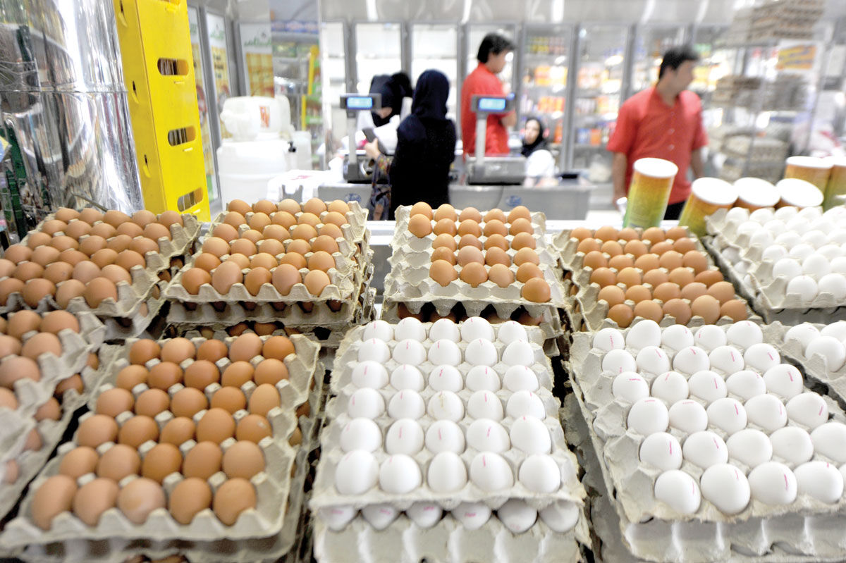 اول مرغ و تخم‌مرغ است یا سرمایه در گردش؟!