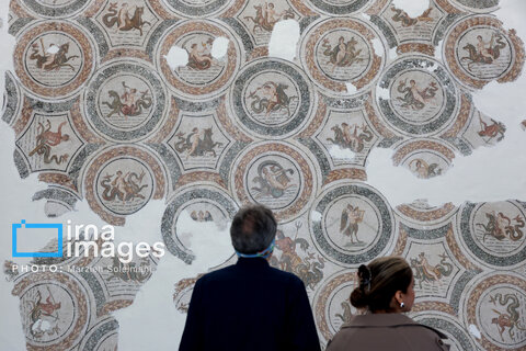 موزه ملی باردو در تونس