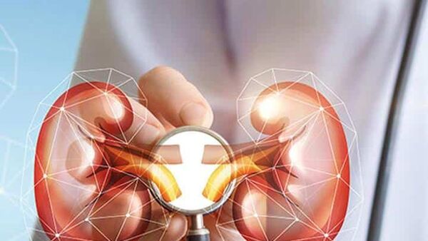 مواظب لوبیای سحر آمیز بدن باشید