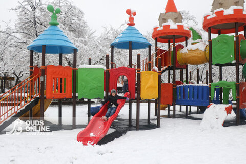 بارش اولین برف زمستانی - مشهد