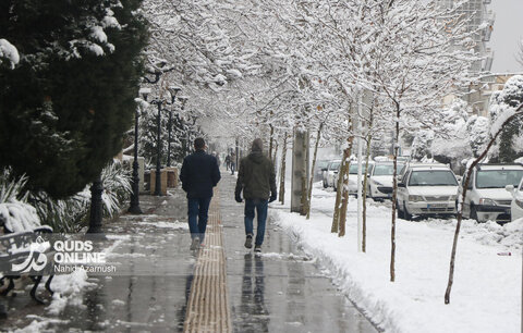 بارش اولین برف زمستانی - مشهد