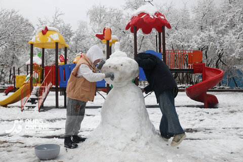 بارش اولین برف زمستانی - مشهد