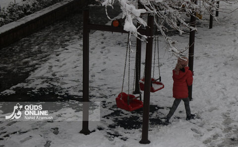 بارش اولین برف زمستانی - مشهد