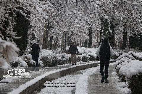 بارش اولین برف زمستانی - مشهد