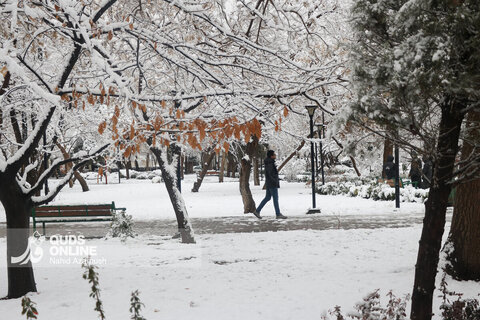 بارش اولین برف زمستانی - مشهد