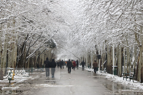 بارش اولین برف زمستانی - مشهد
