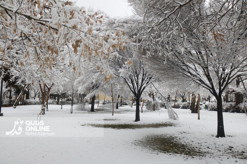 بارش اولین برف زمستانی - مشهد