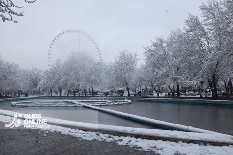 بارش اولین برف زمستانی - مشهد