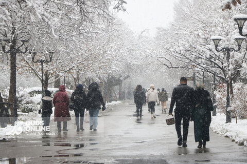 بارش اولین برف زمستانی - مشهد