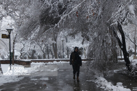 بارش اولین برف زمستانی - مشهد