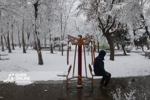 بارش اولین برف زمستانی - مشهد