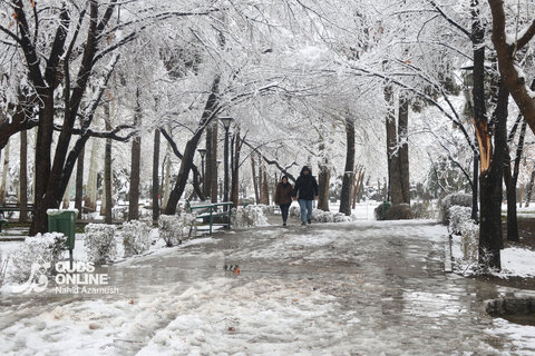بارش اولین برف زمستانی - مشهد