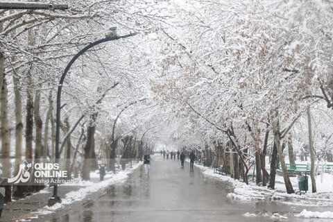 بارش اولین برف زمستانی - مشهد