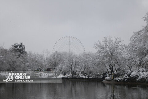 بارش اولین برف زمستانی - مشهد
