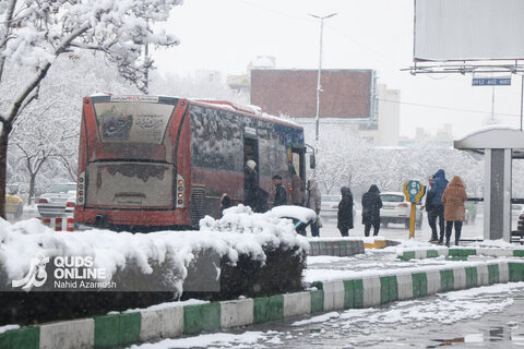 بارش اولین برف زمستانی - مشهد