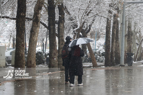 بارش اولین برف زمستانی - مشهد