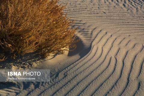 قلعه کاظم داشی؛ اثر تاریخی در سایه خشکی دریاچه ارومیه