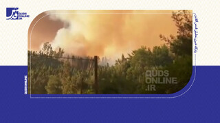 فیلم | ۱۸ جانباخته در آتش‌سوزی جنگلی در شیلی