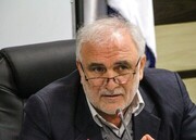 حذف ارز ترجیحی تاثیری در کسری بودجه ندارد / دولت تصمیم درستی در حوزه تک نرخی کردن ارز اتخاذ کرد