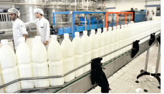 لبنیات در تنگنای قیمت شیر