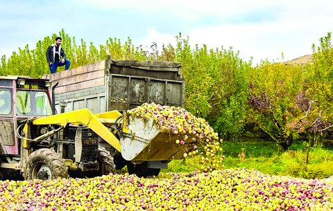 نصف ذخایر سدها را دور می‌ریزیم / آسیب‌های اتکا به روش‌های سنتی و ضایعات حوزه کشاورزی