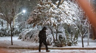 شیراز برفی شد