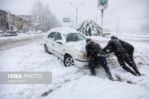بارش سنگین برف در شهرستان سوادکوه - مازندران