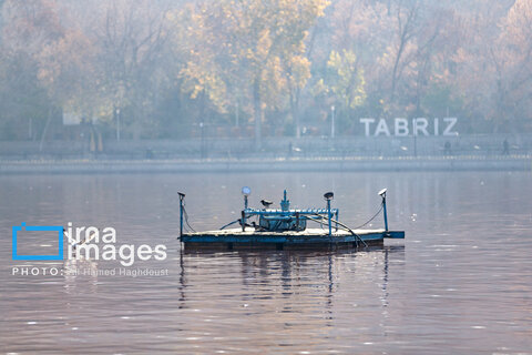 افزایش ۱۵ برابری روزهای ناسالم در تبریز