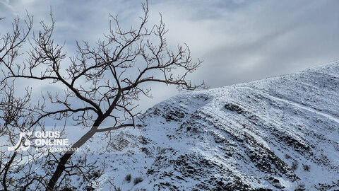 افزایش ۹۶ درصدی بارندگی‌ها در خراسان جنوبی