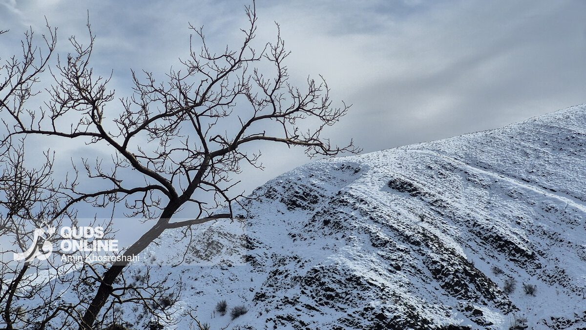 افزایش ۹۶ درصدی بارندگی‌ها در خراسان جنوبی