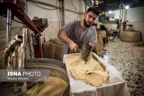 روستای "ریکنده" مهد نیشکر مازندران