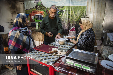 روستای "ریکنده" مهد نیشکر مازندران