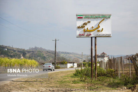 روستای "ریکنده" مهد نیشکر مازندران