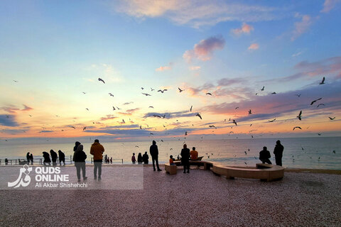 غروب زیبای بندر بوشهر