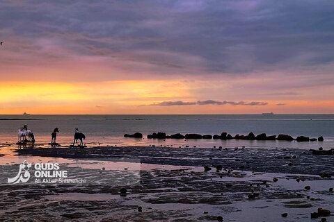 غروب زیبای بندر بوشهر