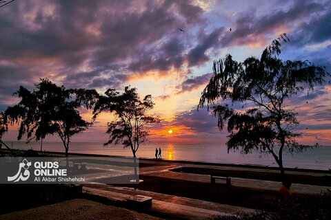 غروب زیبای بندر بوشهر