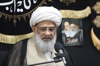 عضو جامعه مدرسین حوزه علمیه قم مطرح کرد: آیت‌الله العظمی خامنه‌ای ذخیره الهی برای روزهای بزرگ انقلاب اسلامی