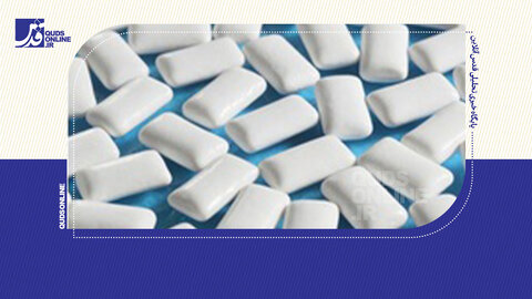 قوانین عجیب در دنیا