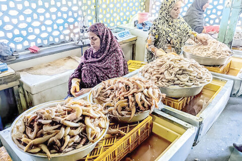 «اقتصاد محلی» قربانی سیاست‌گذاران غیر بومی