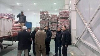 وارادت ۶۸۳ کانتینر از مرز و گمرک سیف سقز