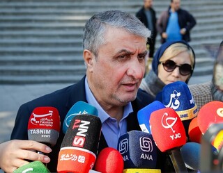 رئیس سازمان انرژی اتمی: انتظار داریم گروسی در ادبیات و گزارش‌ها در محدوده وظایف قانونی عمل کند